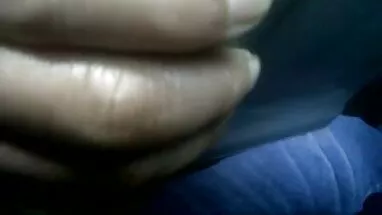chó gai tay tu suong của tôi